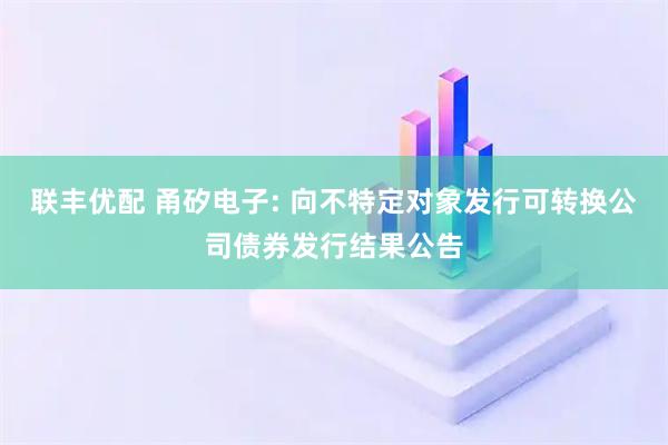 联丰优配 甬矽电子: 向不特定对象发行可转换公司债券发行结果公告