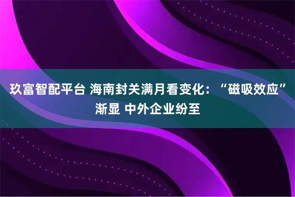 玖富智配平台 海南封关满月看变化：“磁吸效应”渐显 中外企业纷至