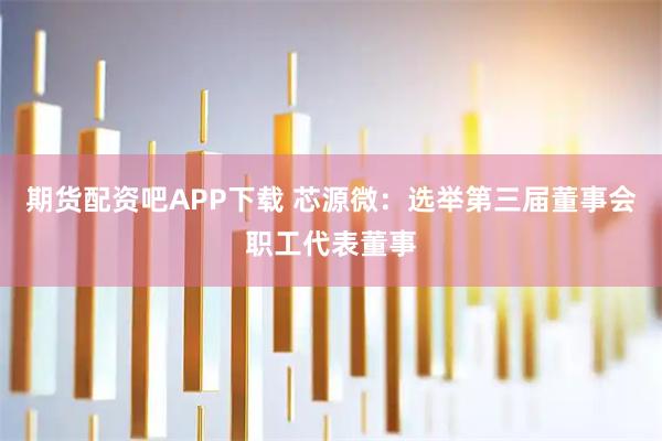 期货配资吧APP下载 芯源微：选举第三届董事会职工代表董事