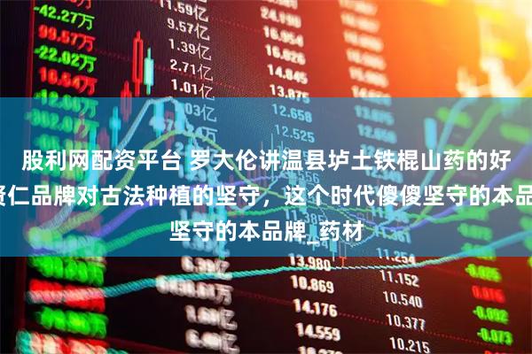 股利网配资平台 罗大伦讲温县垆土铁棍山药的好处，温贤仁品牌对古法种植的坚守，这个时代傻傻坚守的本品牌_药材