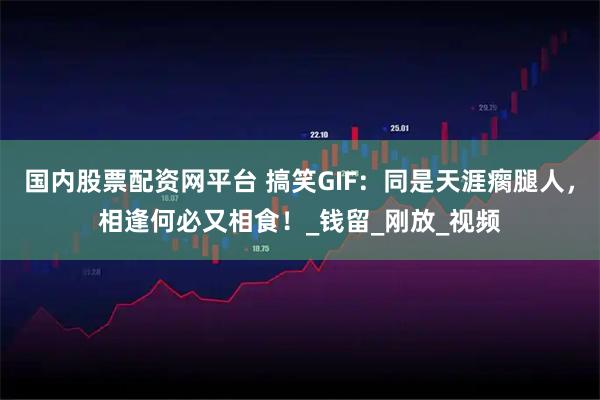 国内股票配资网平台 搞笑GIF：同是天涯瘸腿人，相逢何必又相食！_钱留_刚放_视频