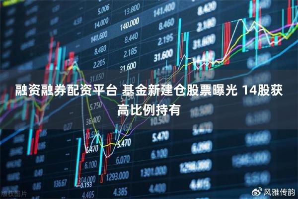 融资融券配资平台 基金新建仓股票曝光 14股获高比例持有