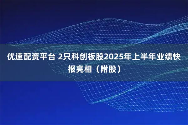 优速配资平台 2只科创板股2025年上半年业绩快报亮相（附股）