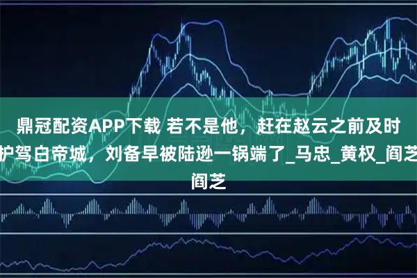 鼎冠配资APP下载 若不是他，赶在赵云之前及时护驾白帝城，刘备早被陆逊一锅端了_马忠_黄权_阎芝