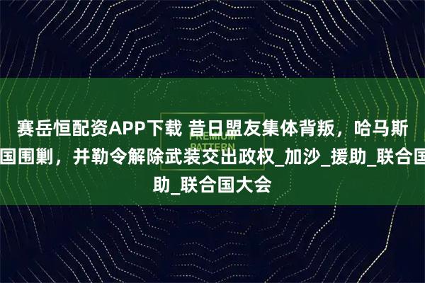 赛岳恒配资APP下载 昔日盟友集体背叛，哈马斯遭17国围剿，并勒令解除武装交出政权_加沙_援助_联合国大会