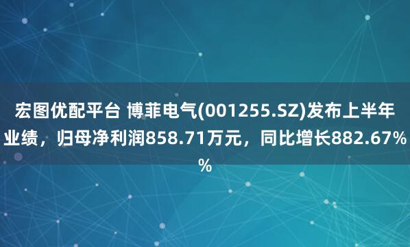 宏图优配平台 博菲电气(001255.SZ)发布上半年业绩，归母净利润858.71万元，同比增长882.67%